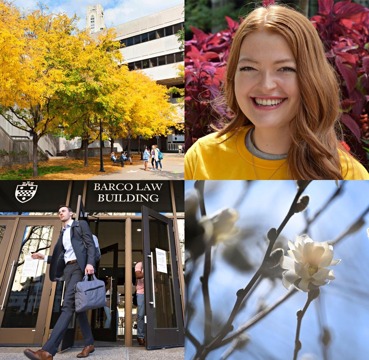 A photo collage featuring the Pittsburgh campus, greenery, and a student.