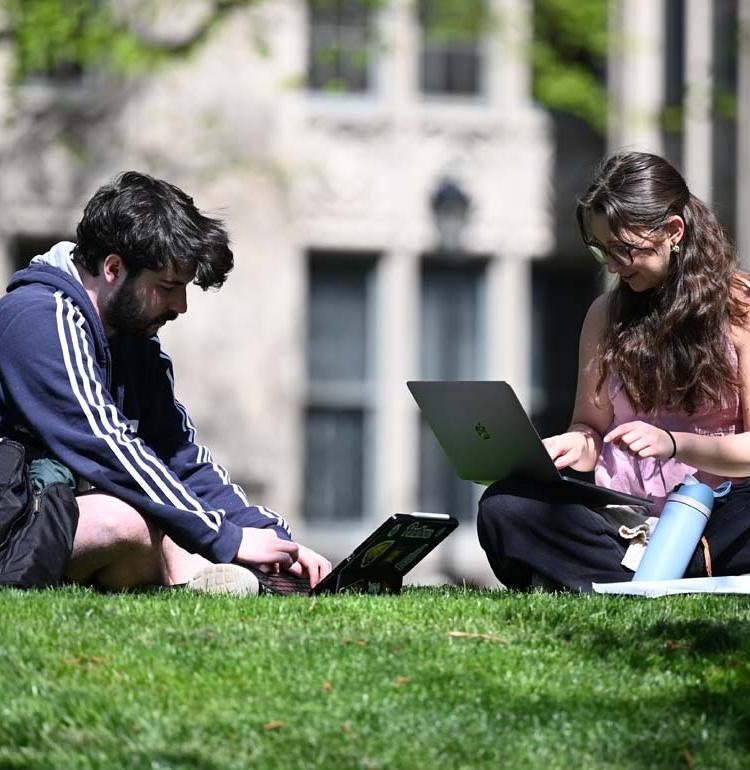 Students Studying on Grass